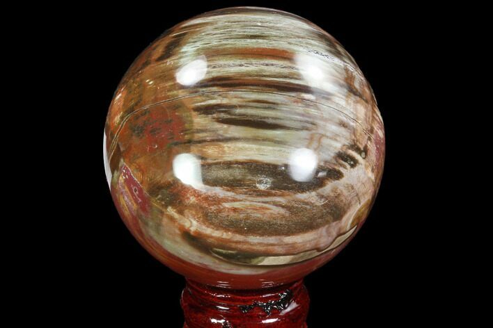 Bargain, Colorful Petrified Wood Sphere - Madagascar #92989